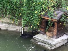 -上海虹桥迎宾馆