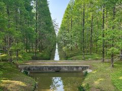 -黄海国家森林公园