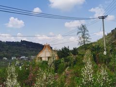 -玫瑰庄园·自助烧烤·烤全羊·团建拓展(龙泉山店)