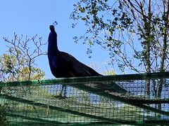 -沈阳鸟岛