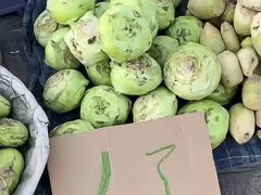 -山东艺术学院(长清校区)