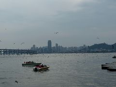 -星海广场