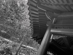 -大觉寺-停车场