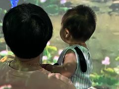 -中国湿地博物馆