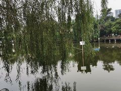 -三圣花乡旅游区