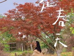 -秀丽东方