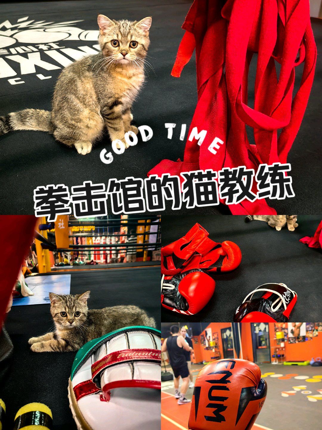 现在多了很多拳击馆呀!而这个拳击馆大概开业不是很久,教练不少,哈.