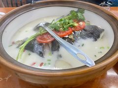 -全乐鱼馆·淳牌有机鱼直营店
