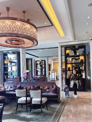 -巍阁高端月子会所