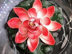 -深圳富茂格伦菲尔口腔门诊部(龙华清湖总院)