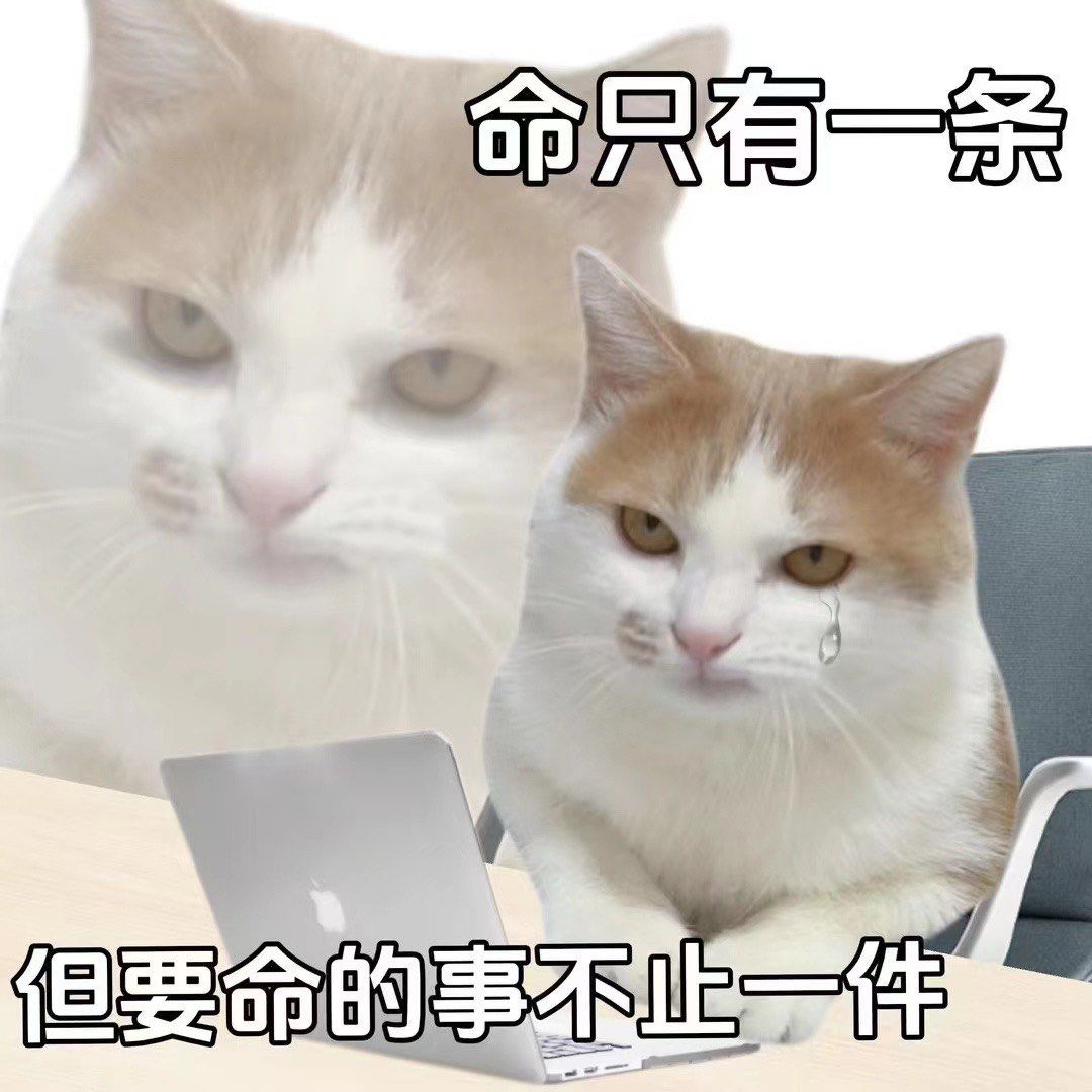 命只有一条
