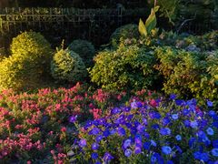 -新虹桥中心花园
