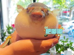 -永安鱼庄·镇江菜(东吴路店)