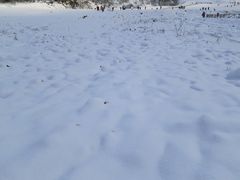 -太子岭滑雪场