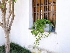 -青果巷历史文化街区