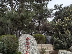 -中国唐苑