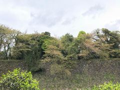 -名古屋城