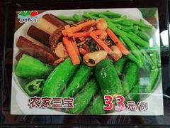 农家三宝-花果山庄•现烤荔枝柴烧鹅