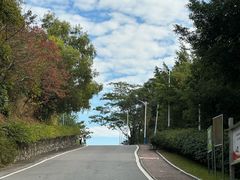 -火炉山森林公园