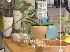 -MĀMĀCHÁ妈妈茶
