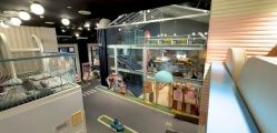 -奈尔宝·儿童乐园·亲子餐厅(星河湾店)