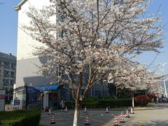-江南大学(蠡湖校区)