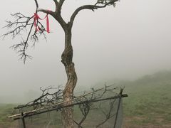 -秦岭风景区