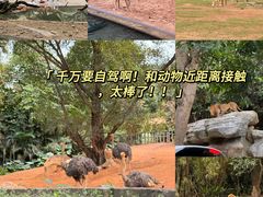 -广州长隆野生动物世界