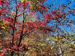 -玉渡山自然风景区