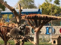 -石家庄市动物园