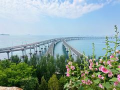 -星海湾跨海大桥