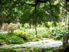 -晓港公园