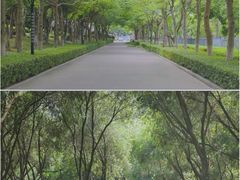 -五通灯塔公园