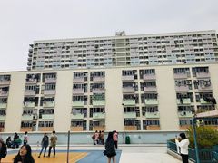 -彩虹村