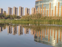 -洋湖国家湿地公园