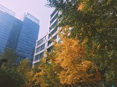 景观位-JamaicaBlue(新城国际店)