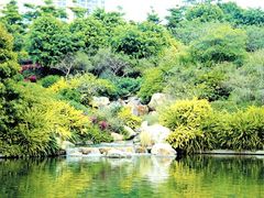 -火炉山森林公园