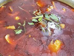-重庆特色冷锅鱼(武大店)