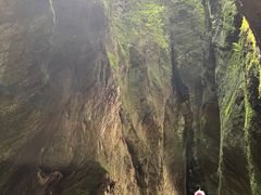 -牛背梁国家森林公园