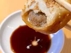-朱新年·苏式汤团·面点(北寺塔店)