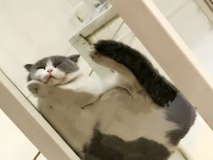 -娜娜家•Nana’Garden (福州道店)