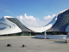 -哈尔滨大剧院