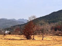 -塔川景区