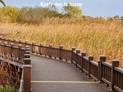 -梁鸿国家湿地公园