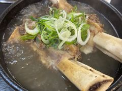 -莲洞本家