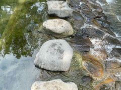 -鹿亭中村