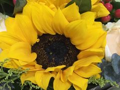 -萝鸡思味秘制泡菜(万家丽店)