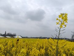 -中国天府农业博览园