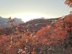 -周口店坡峰岭风景区