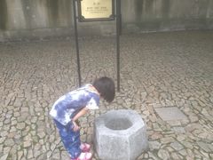 -上海市龙华烈士陵园